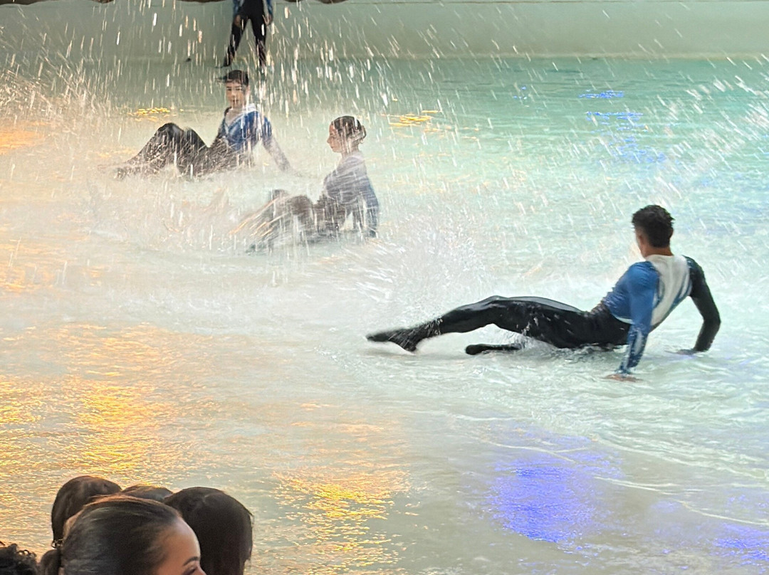 Acquamotion-格拉玛多必去景点