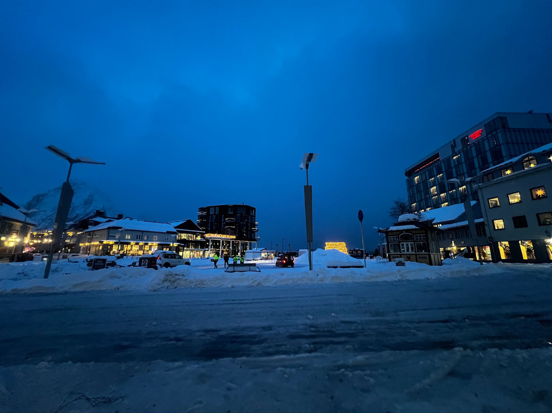 Havneparken Park-斯沃尔韦尔必去景点