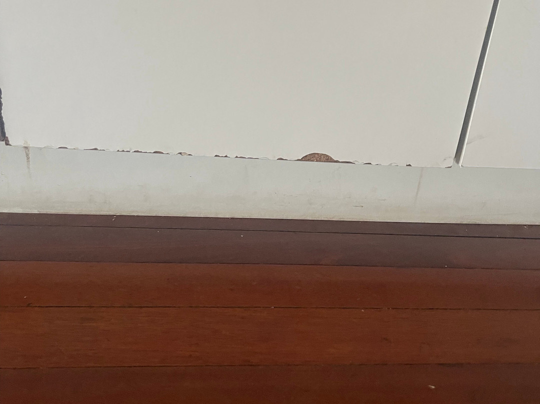 Papagayo Beach Resort主图