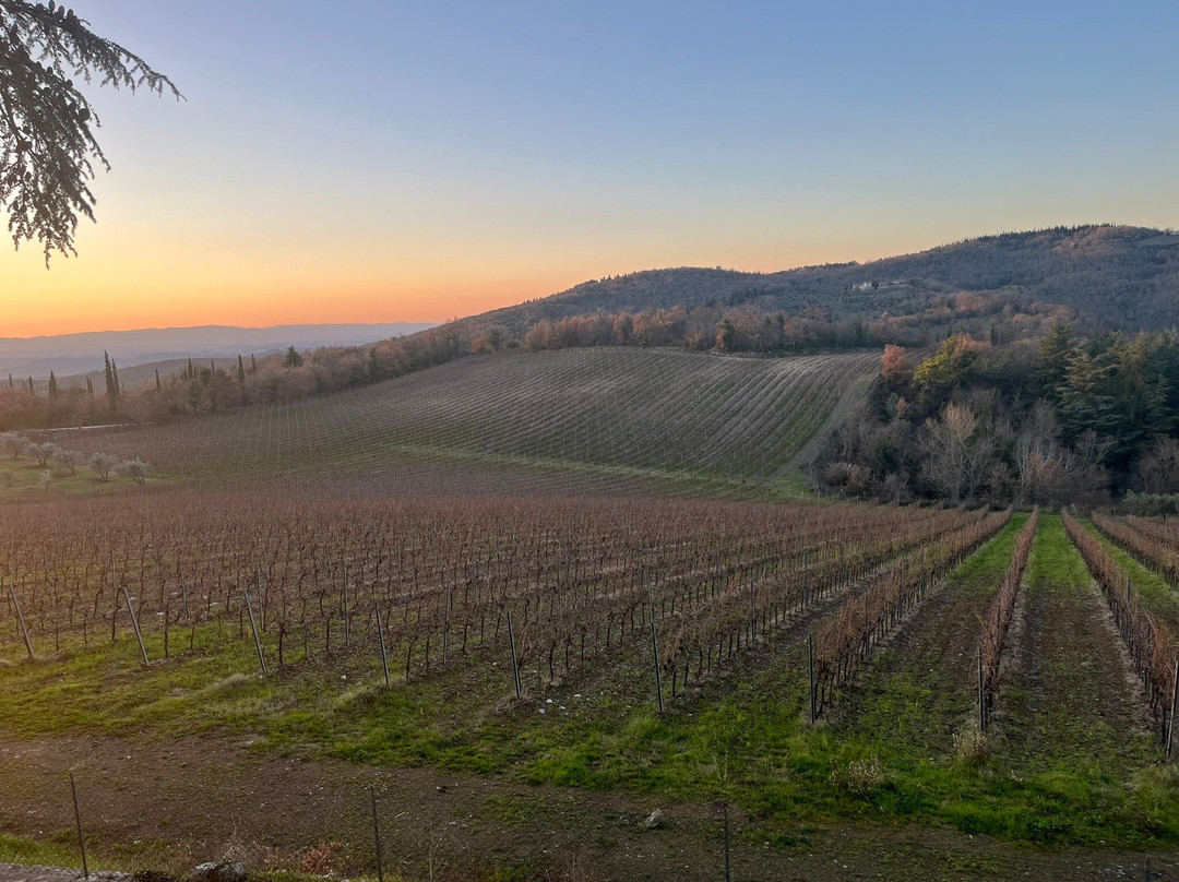 Bindi Sergardi Estates & Vineyards-Vagliagli必去景点