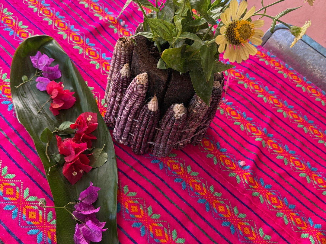 Camino del Mayab-梅里达必去景点