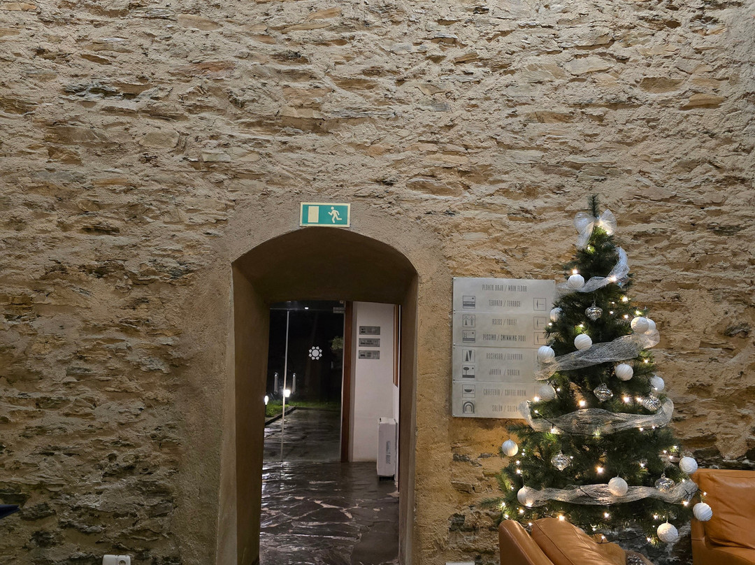 Hospederia Puente de Alconetar主图