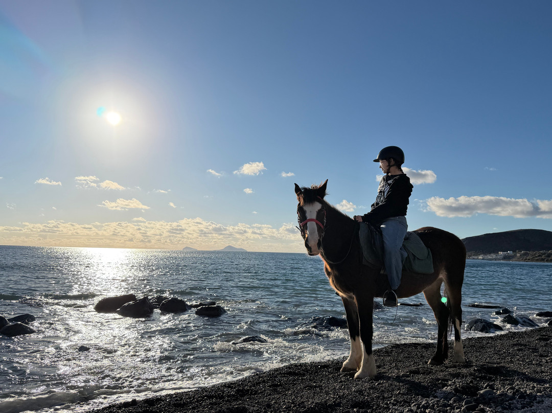 Experience Horse Riding-阿克罗蒂里必去景点