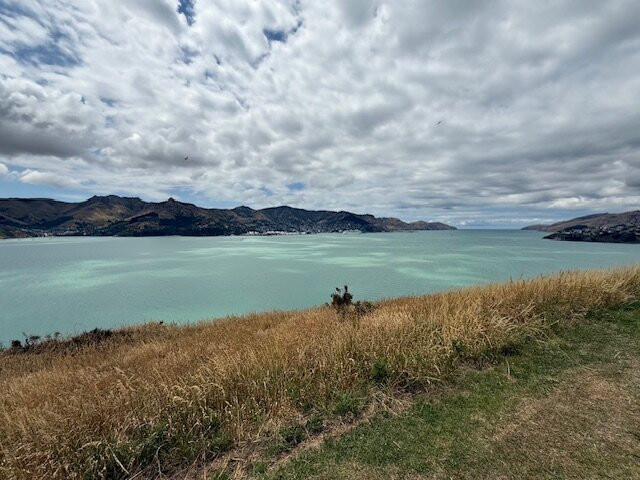 鹌鹑岛-基督城必去景点