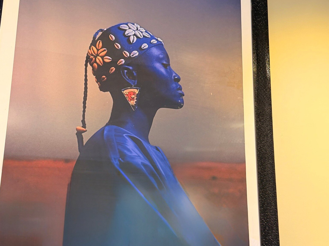 L’archipel de Musées-圣路易必去景点