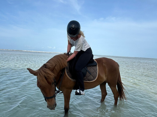 Stud Horse Riding and Rescue-吉利特拉万安必去景点