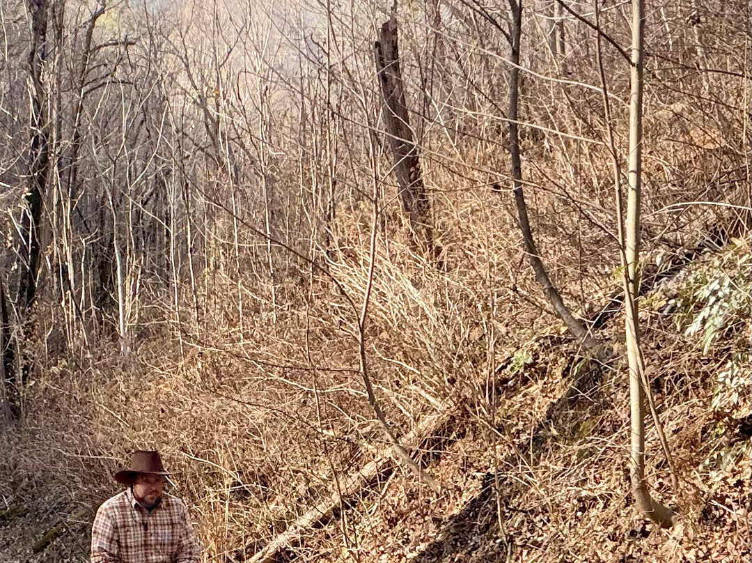 Sugarland Riding Stables-盖林柏格必去景点