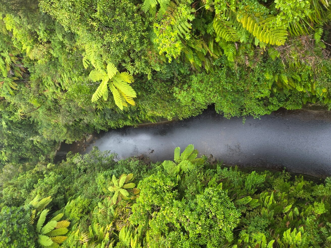Canoe Safaris-奥阿库尼必去景点