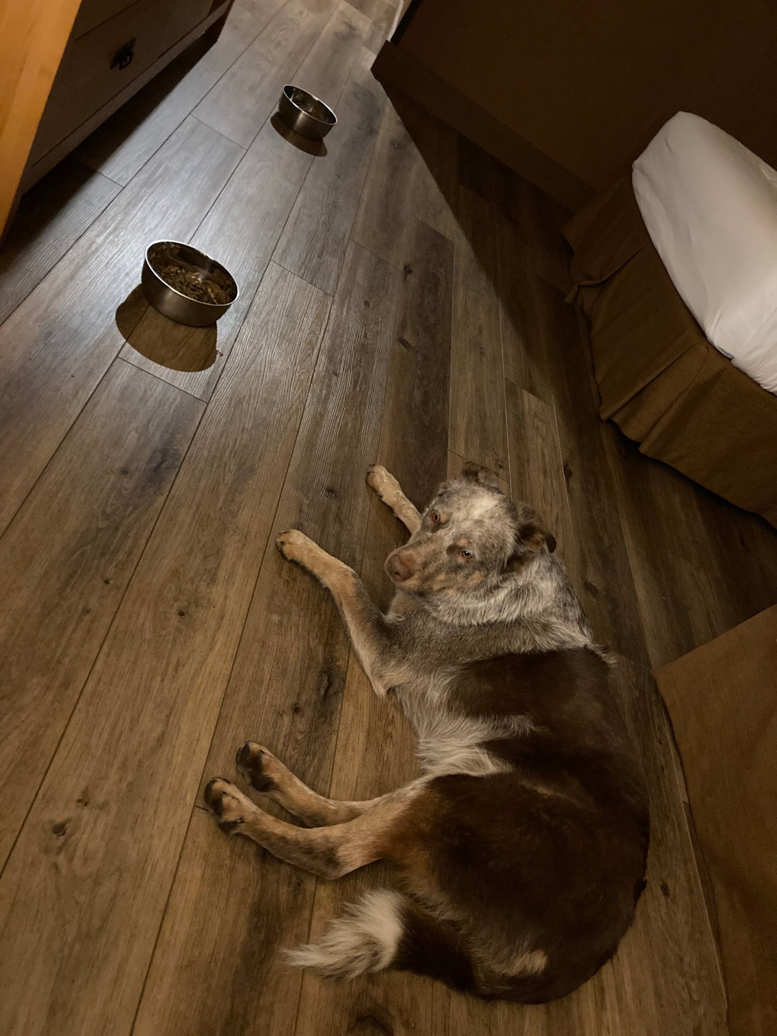 奥林匹克酒店-官方