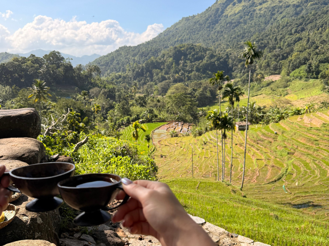 Knuckles Nature Tours-Teldeniya必去景点