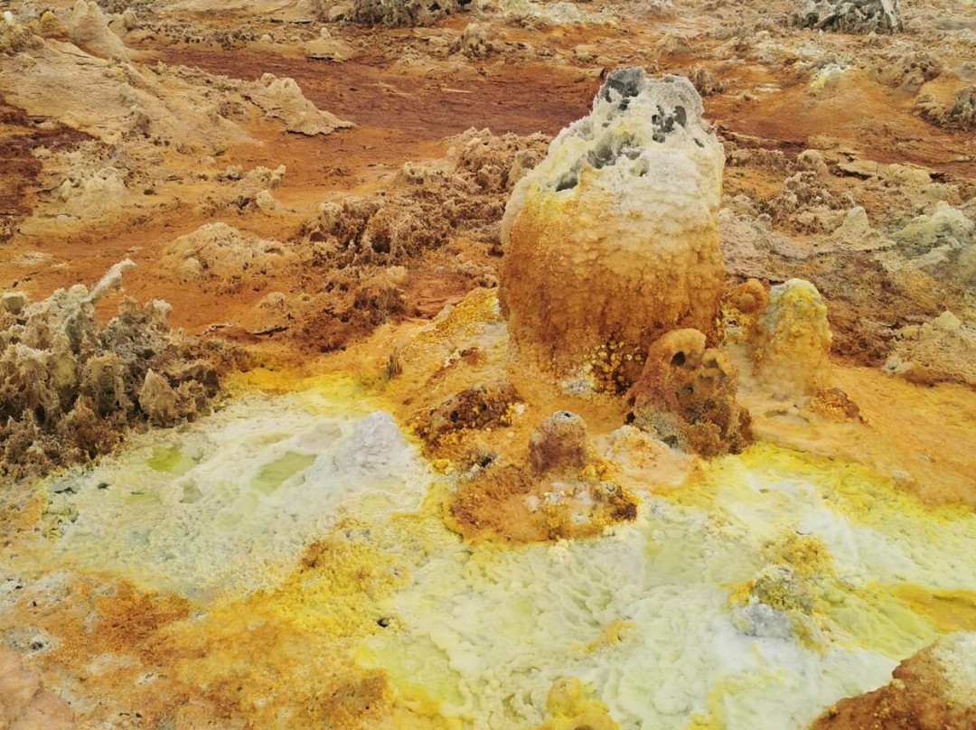 Lucy Ethiopia Tours-亚的斯亚贝巴必去景点