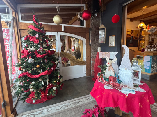 Hotel Alt Spaur主图