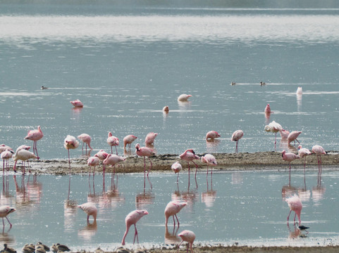 Umani Bliss Safaris-内罗毕必去景点