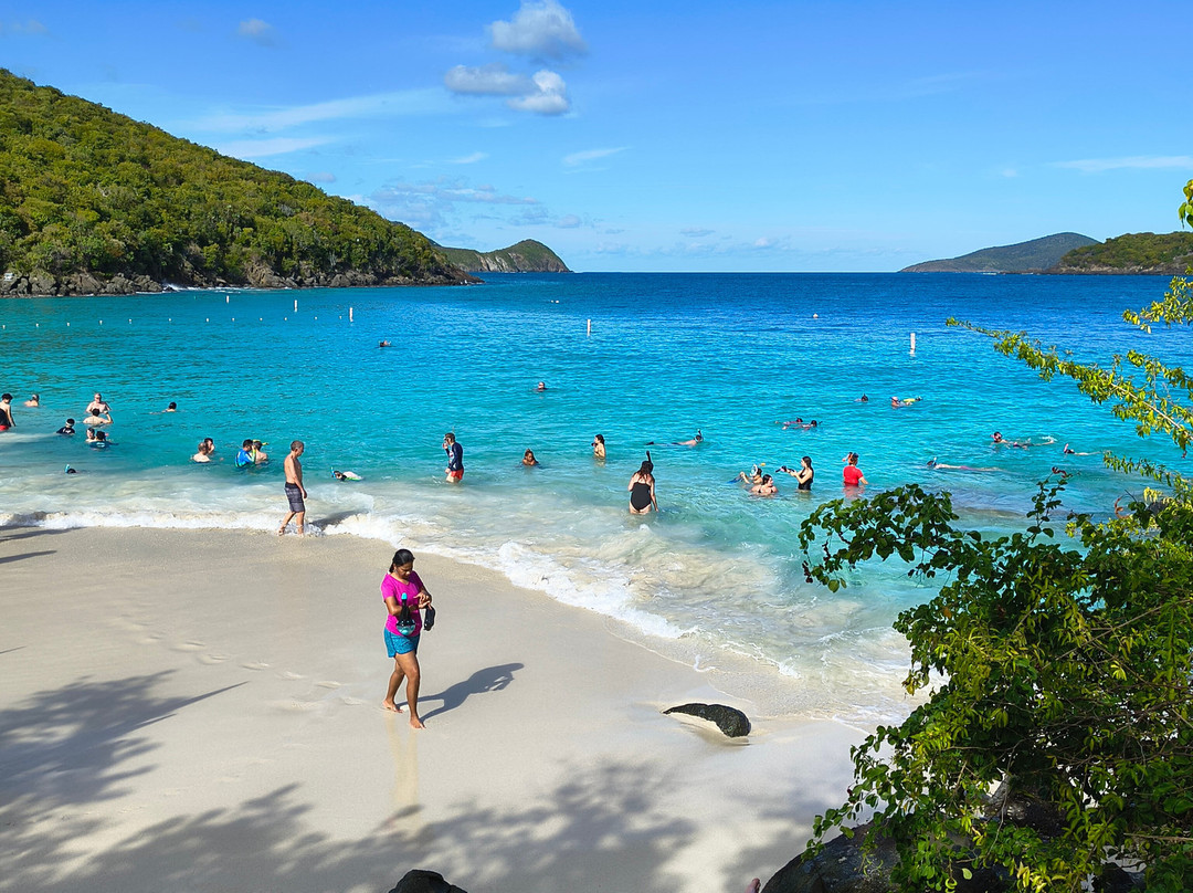 CWORI Dive Center-Smith Bay必去景点