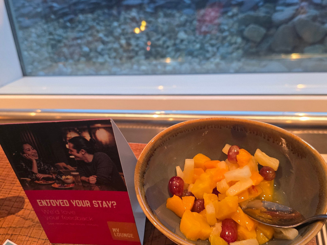 My Lounge South Terminal-霍利必去景点