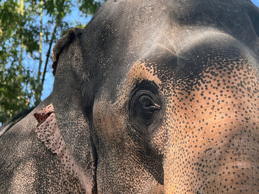 Rideway Lanka Travels-加勒必去景点
