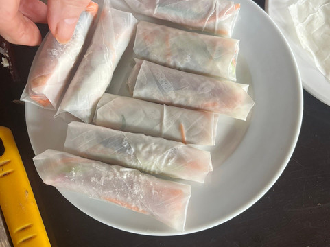 Spring Onion Family Tour-会安必去景点