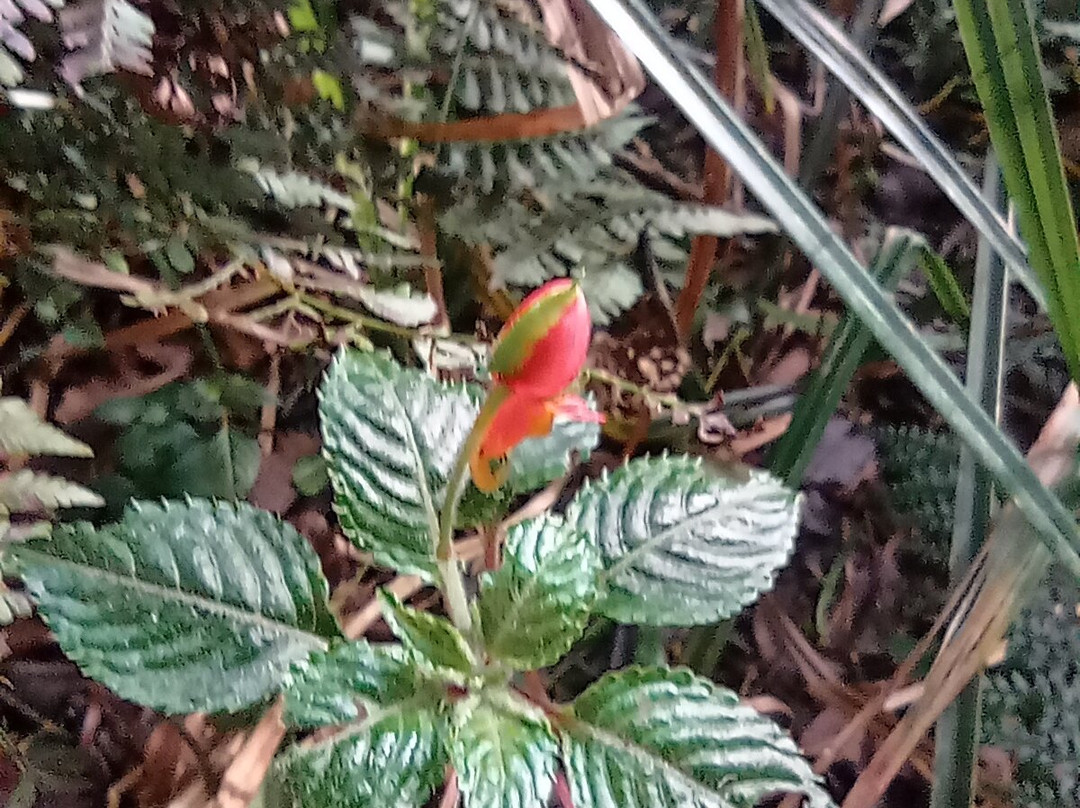 Top Climbers Expedition-莫西必去景点