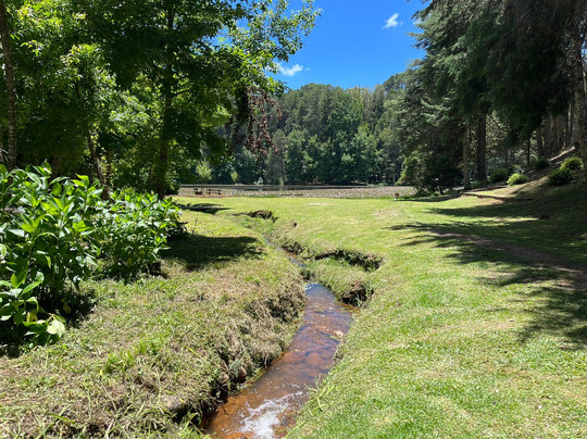 Parque Bambui-坎普斯－杜若尔当必去景点