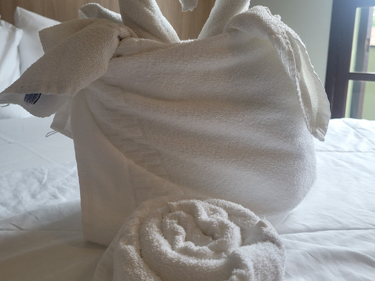 Ubatuba Eco Hotel主图