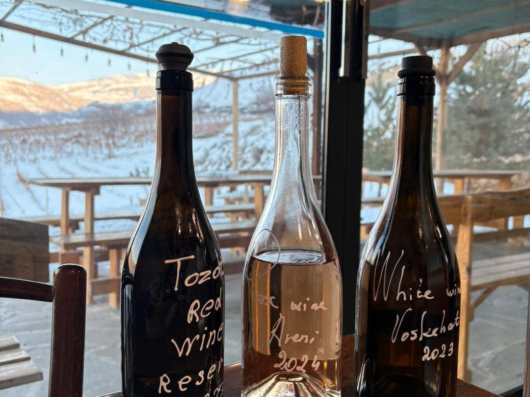 Momik Wines-Areni必去景点