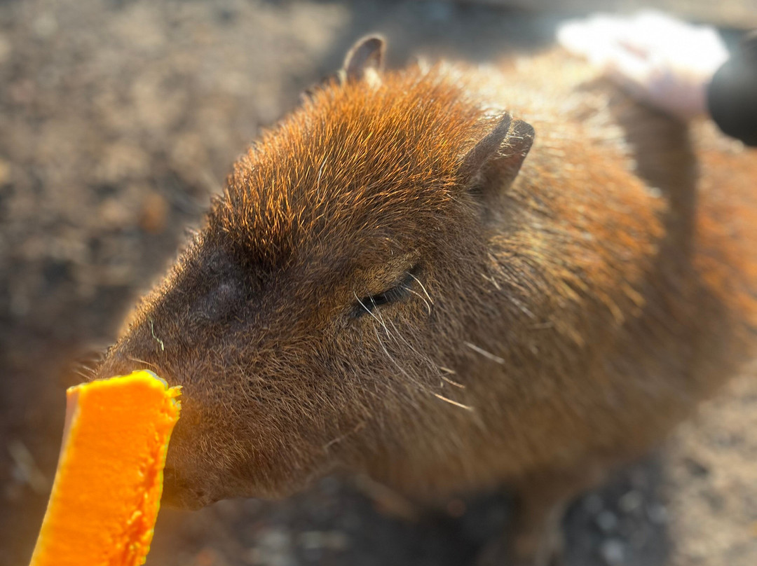 Wild Discovery-普雷斯顿必去景点