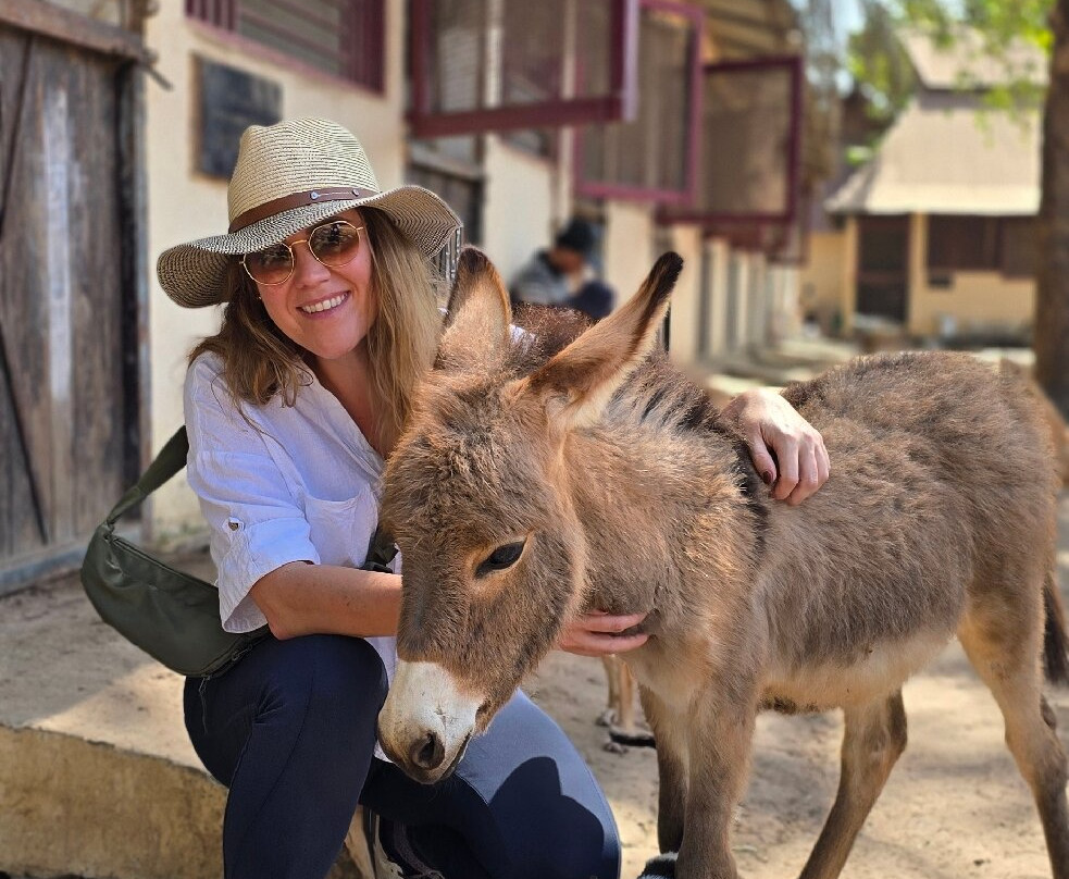 Bushwhacker Tours-Kololi必去景点