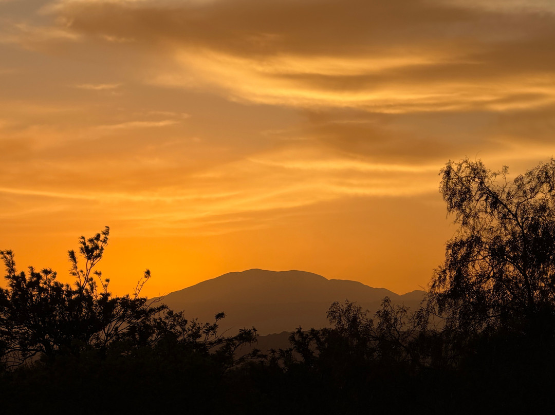 Explora en Atacama主图