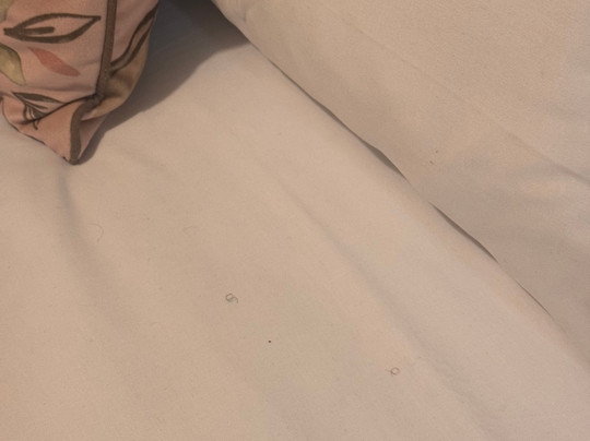 塞祖尔阿菲尔巴黎马拉科夫酒店主图