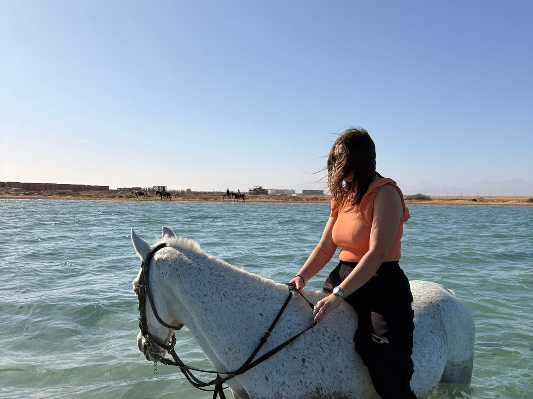 Autour Des Dunes-赫尔格达必去景点