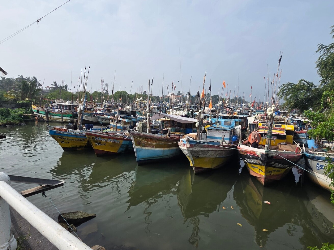 Subara Travels Sri Lanka-Radawana必去景点