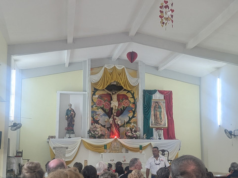 Nexus Tours Mexico-瓦拉塔港必去景点