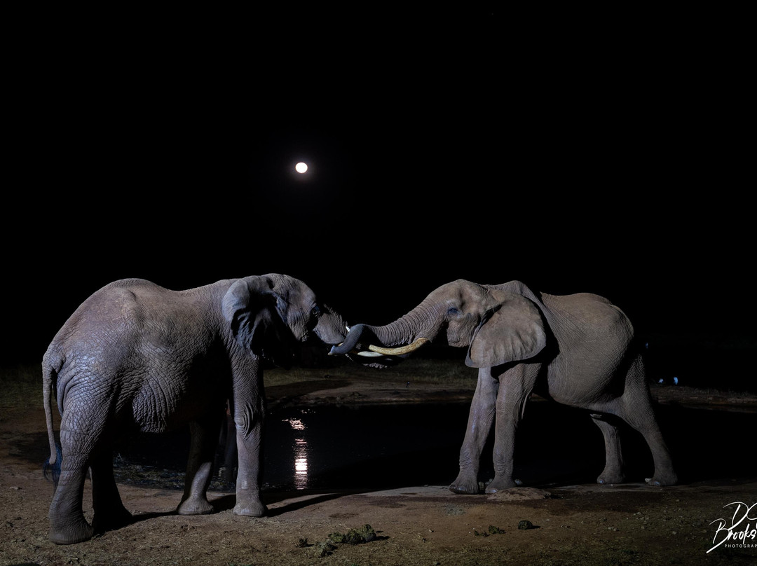 Grand Africa Experiences Ltd-Voi必去景点