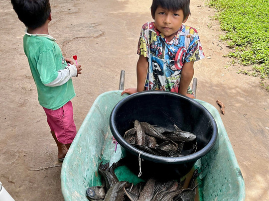 Amazon Maguta Jungle Lodge-莱蒂西亚必去景点