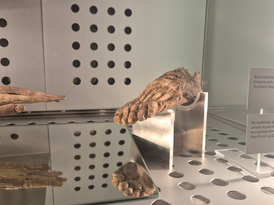 Museo de Naturaleza y Arqueologia-圣克鲁斯-德特内里费必去景点