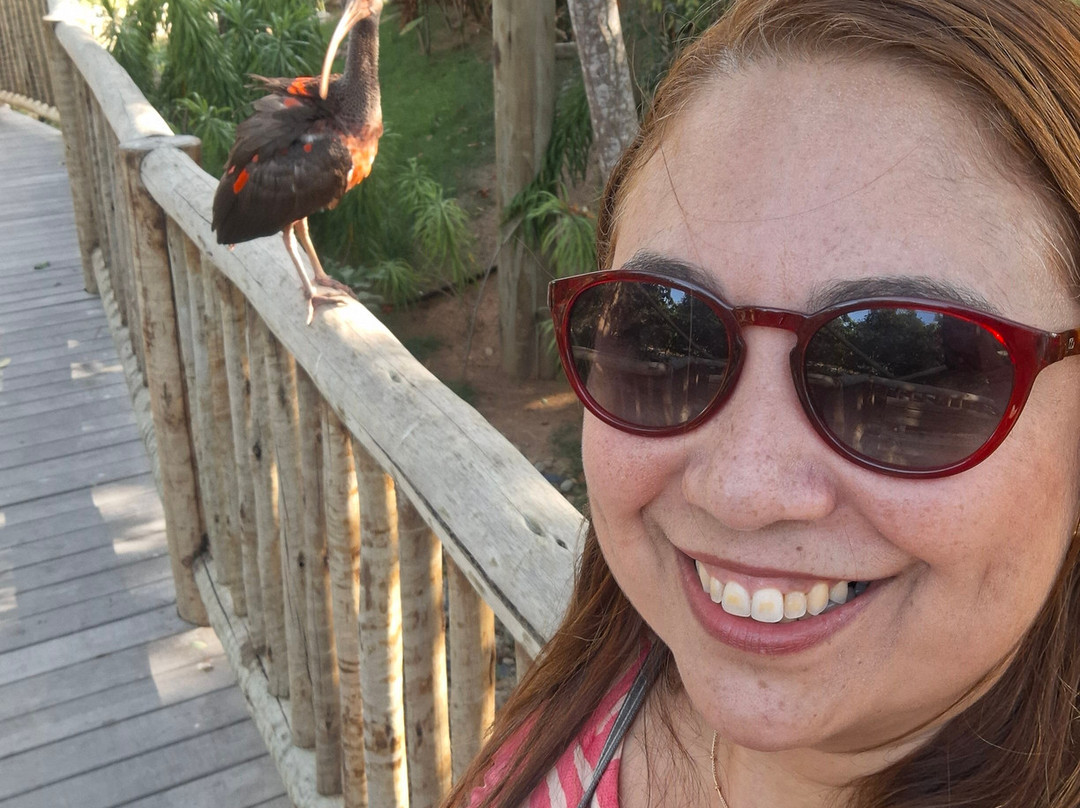 Parque Arvorar-Aquiraz必去景点