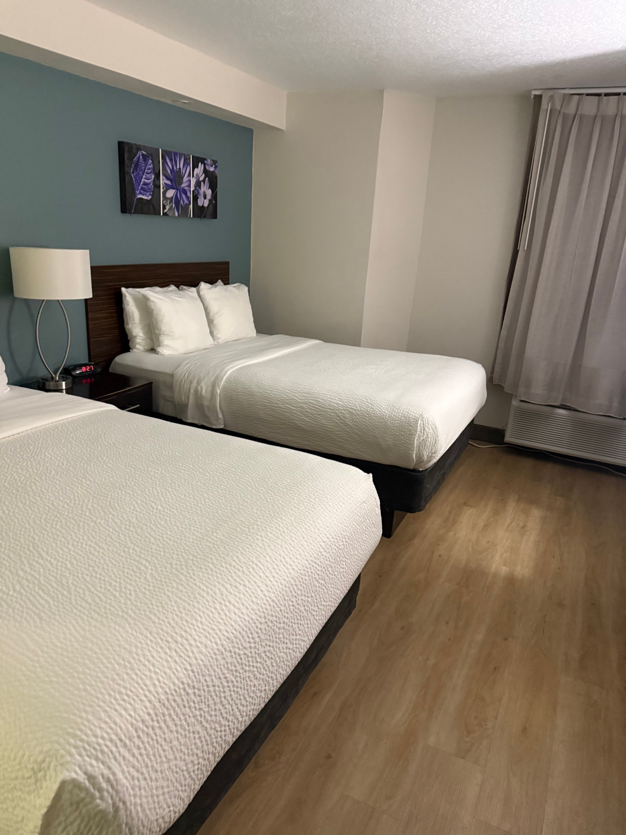 Sleep Inn Clearwater - St Petersburg-客卧