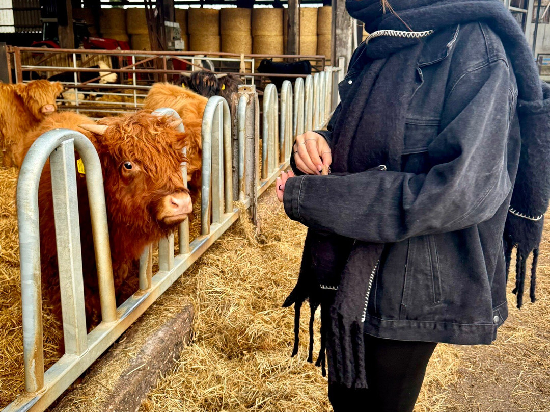 Dumble Farm-比弗利必去景点