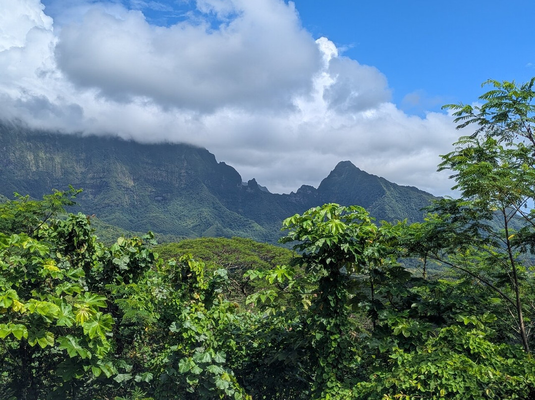 Esland BIKE-Uturoa必去景点
