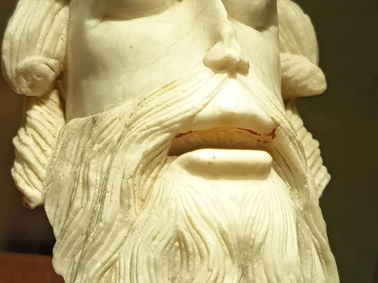 Museo Civico Di Storia Naturale-皮亚琴察必去景点