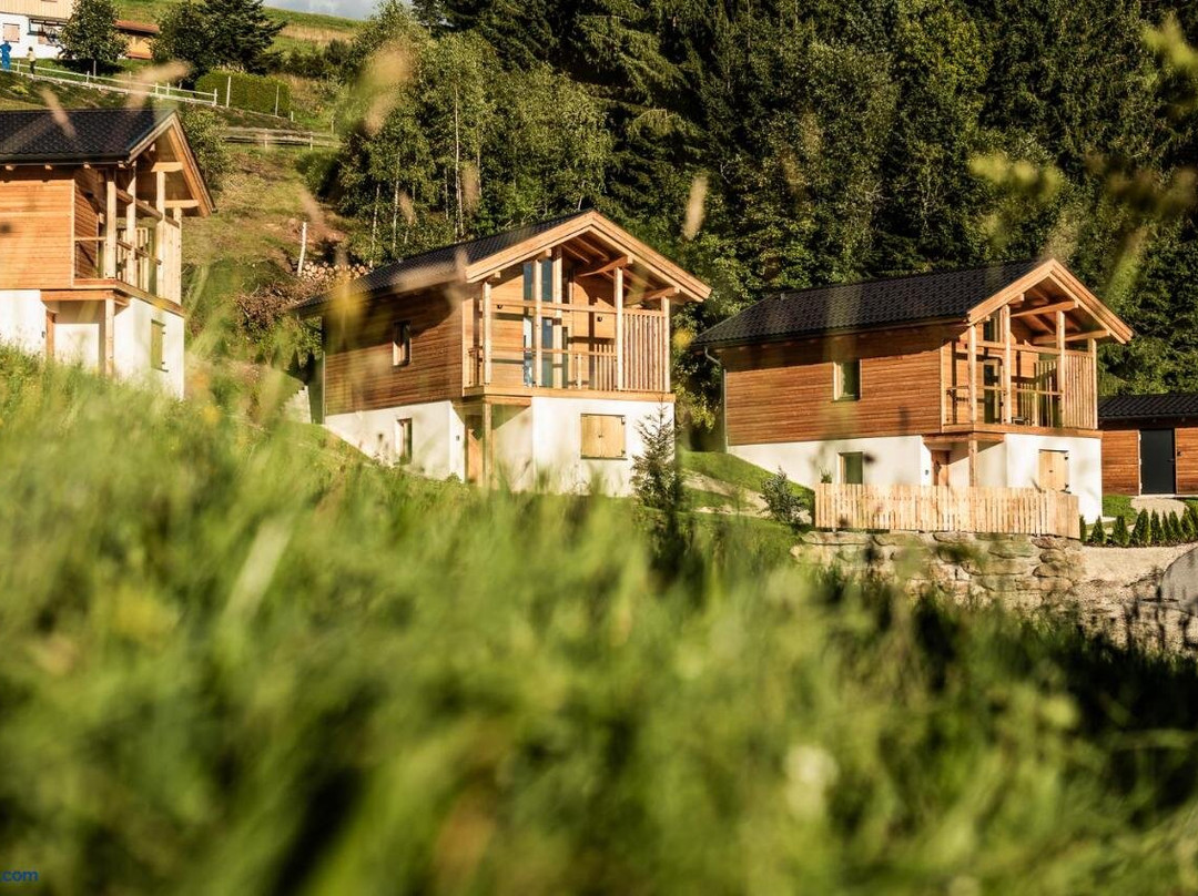 Ferienhauser Koralpe unicorn village