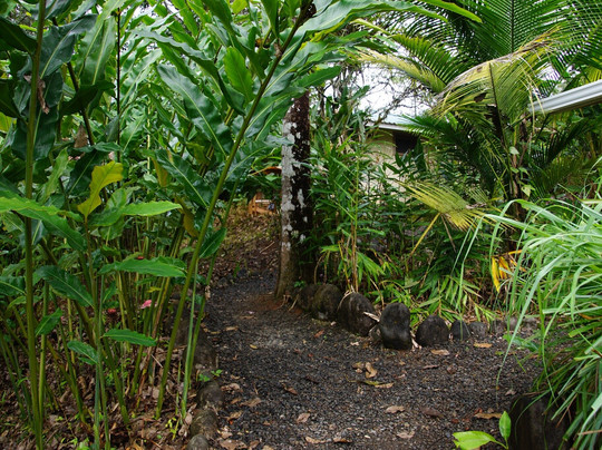 L'Etoile Celeste主图