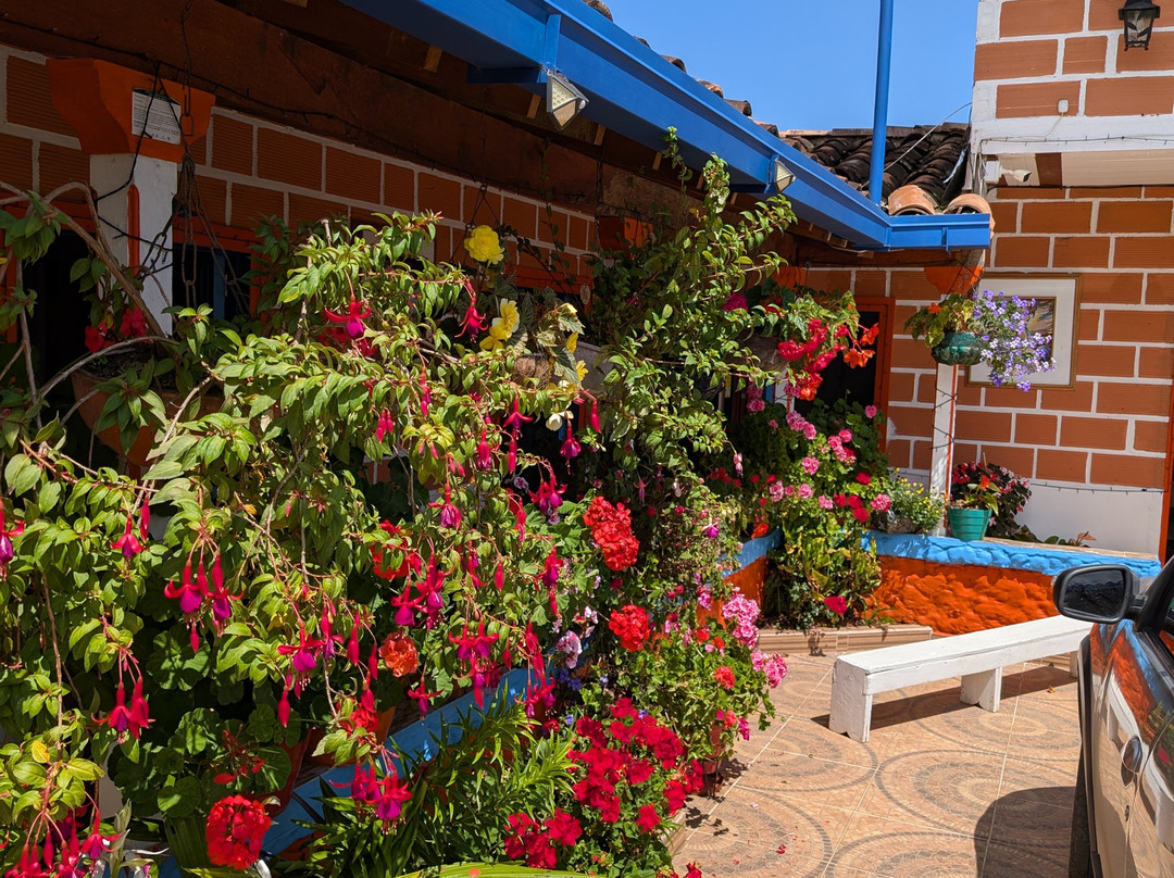 Ecoturismo La Nohelia-Jerico必去景点