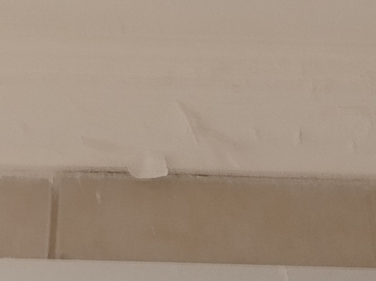 Hotel Nuevo Ostende by Bund主图