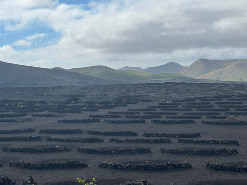 Wine Tours Lanzarote-卡门港必去景点