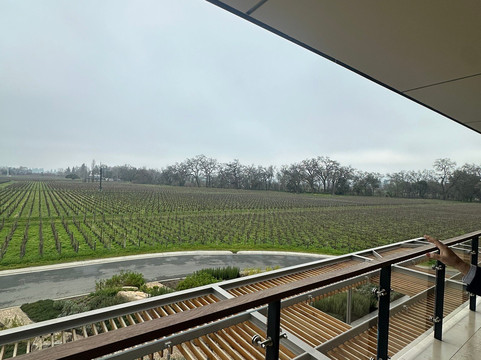 作品一号酒庄-奥克维尔必去景点