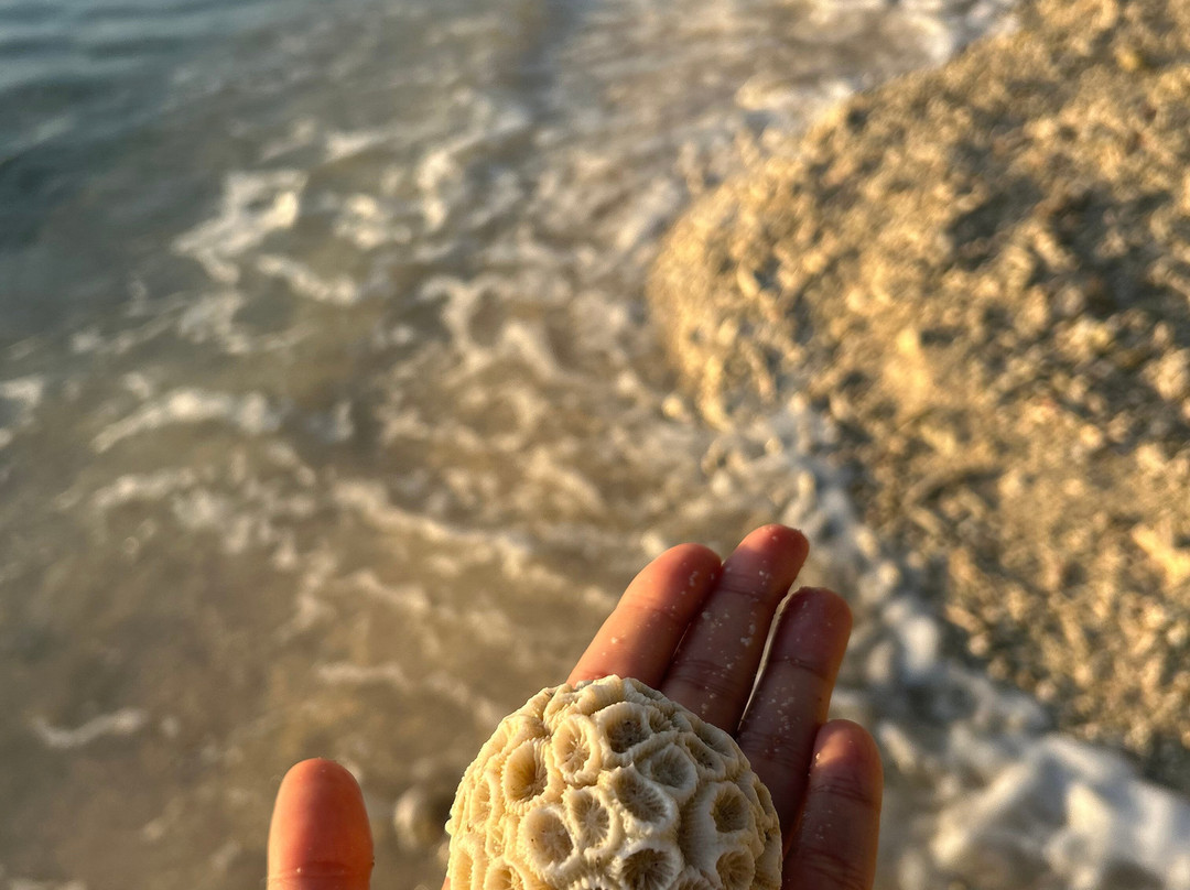 Buhay Isla-爱妮岛必去景点