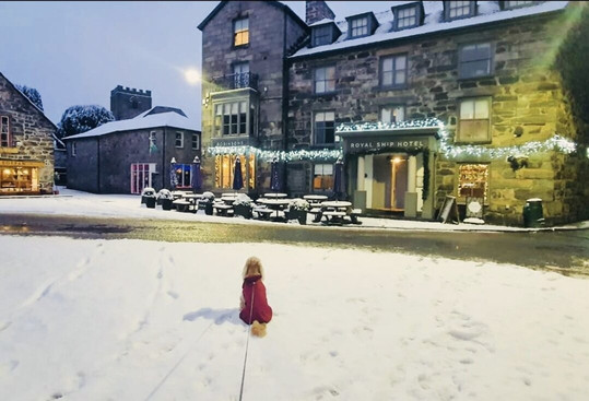 The Royal Ship Hotel主图