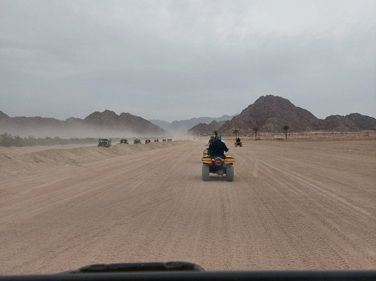 Nabq Tours for Excursions in Egypt-沙姆沙伊赫必去景点