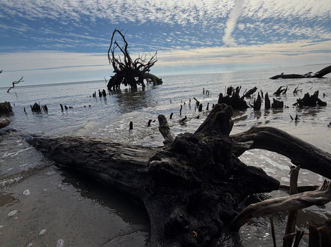 St. Phillips Island Ferry-Saint Helena Island必去景点
